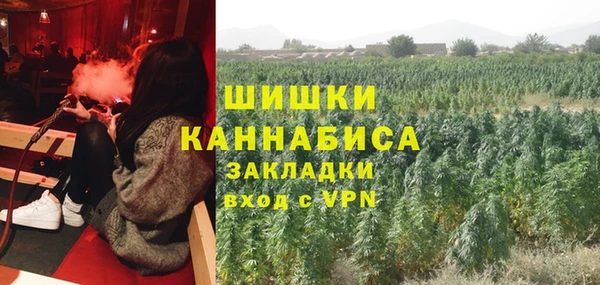 Альфа ПВП Дмитриев