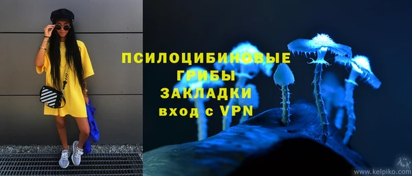 амф Дмитровск