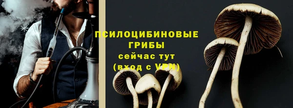 сатива Гусь-Хрустальный