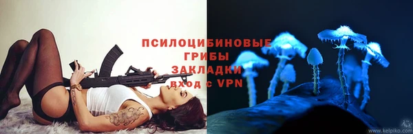 Альфа ПВП Дмитриев