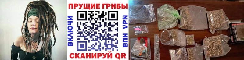 darknet клад  Салават  Галлюциногенные грибы Cubensis  что такое  